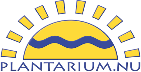plantarium-1