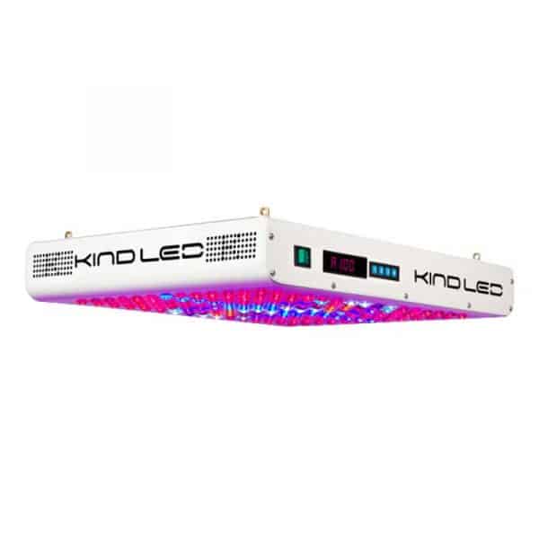 KIND LED