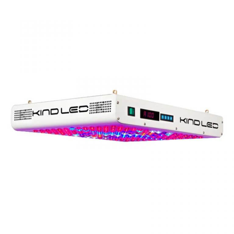 KIND LED