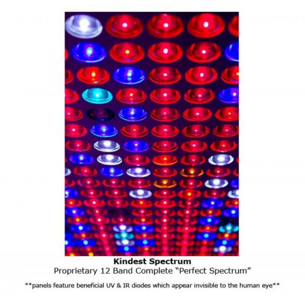 2214-2.jpg