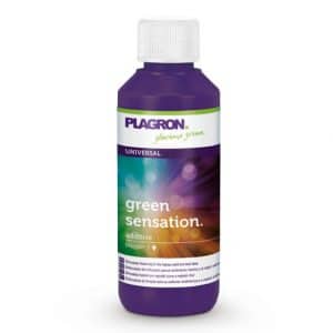 Green Sensation