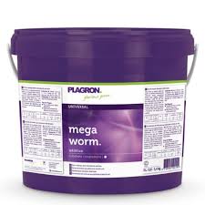 5624624_megworm.jpg