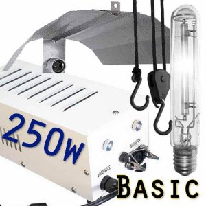 250 watt HPS Set