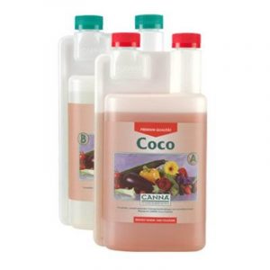 Cocos kweken