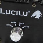 Dimbare EVSA wiet kweken