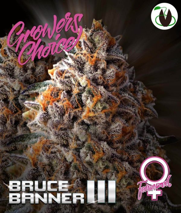 Bruce Banner wietzaadjes