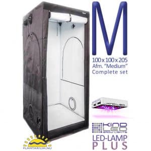 cannabis kweken met LED