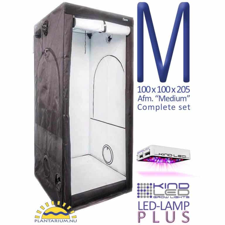 cannabis kweken met LED