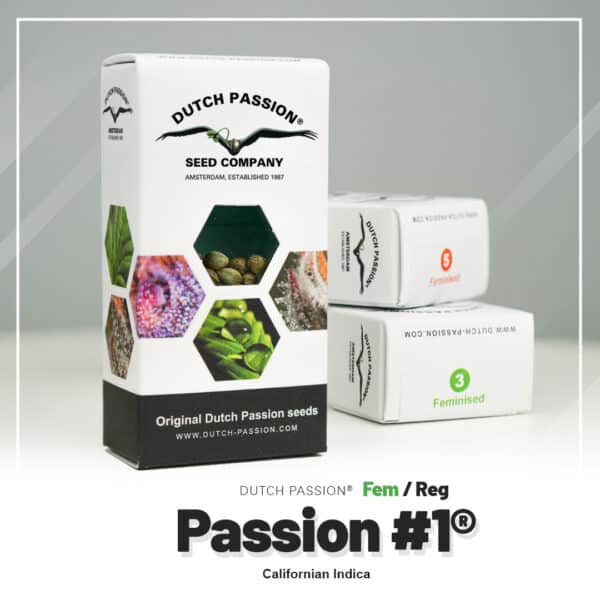 Passion nr 1 Dutch Passion wietzaden