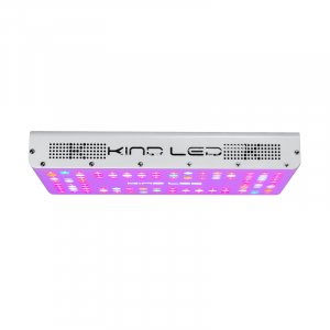 Hoogste opbrengst met LED