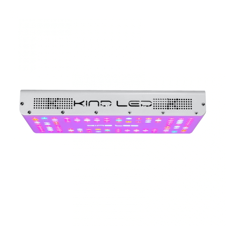 Hoogste opbrengst met LED