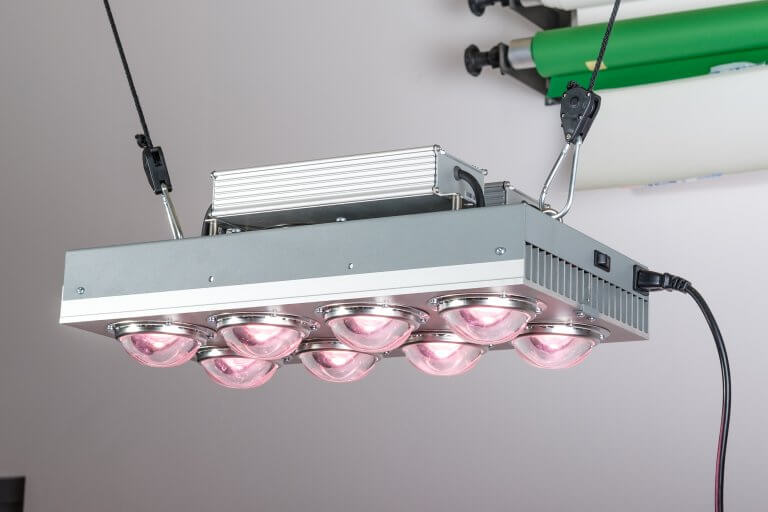 Cannabis kweken met LED