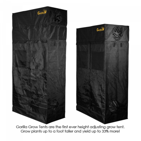 Gorilla 60x120x210-240cm (GGT24) - Afbeelding 5