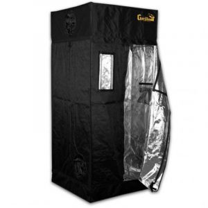 cannabis kweektent