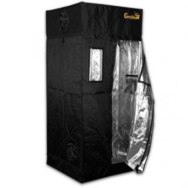 cannabis kweektent