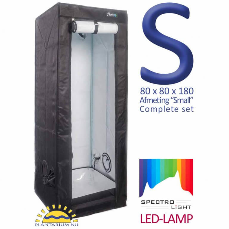 wiet kweken met LED lamp