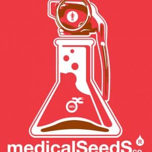 Medical Seeds