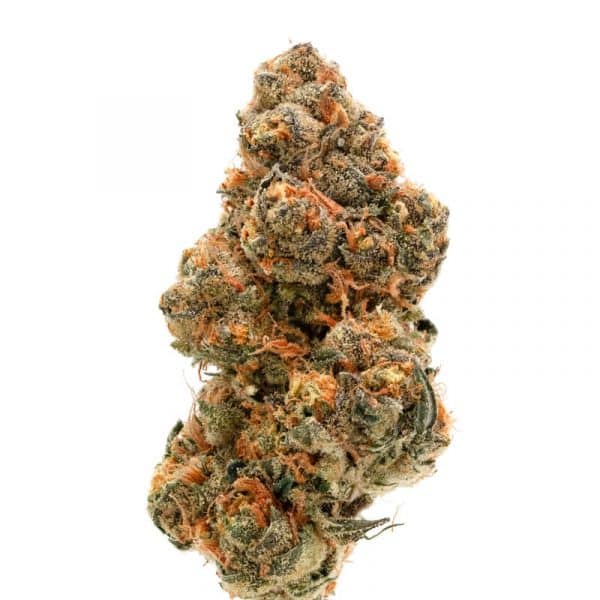 Weddingcake × Frosty Gelato