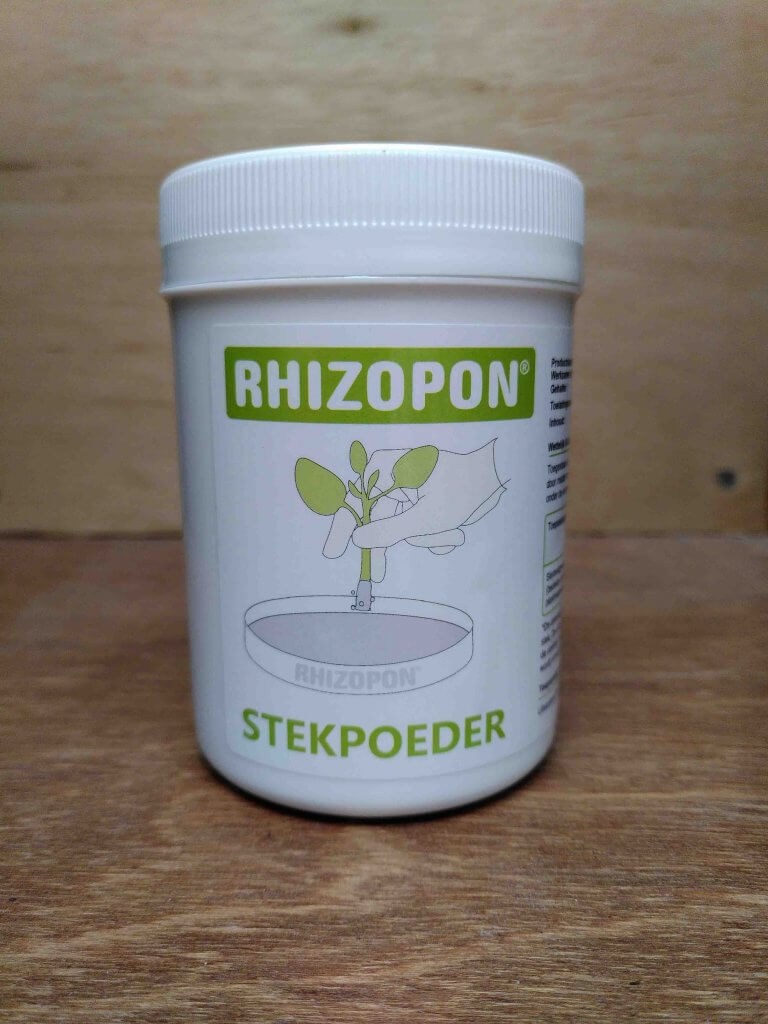 stekpoeder