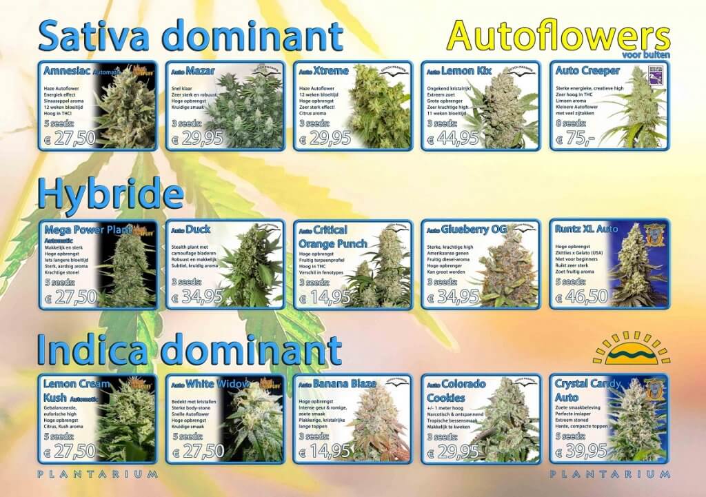 Plantarium Buitenzaden overzicht Autoflowers