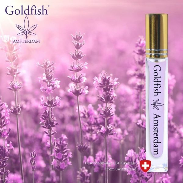 Goldfish Amsterdam 1% CBN met Melatonine - Afbeelding 3