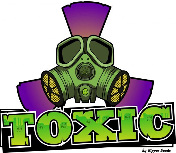 Toxic, Ripper Seeds, Feminised, 5 zaden - Afbeelding 3