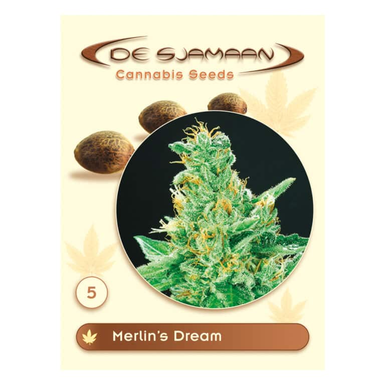 Merlin's Dream van De Sjamaan Cannabis Seeds