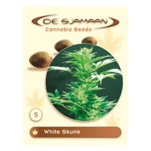White Skunk reguliere wietzaden bij Growshop Nijmegen