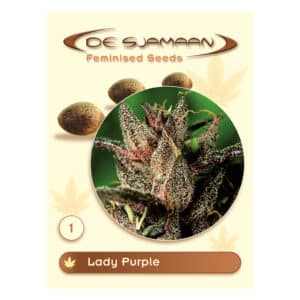 Lady Purple gefeminiseerde wietzaadjes