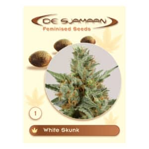White Skunk gefeminiseerde wietzaadjes van De Sjamaan Seeds