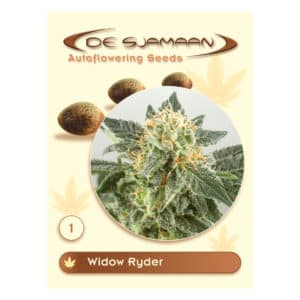 Widow Ryder Autoflower zaden van De Sjamaan Autoflowering Seeds