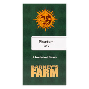 Phantom OG gefeminiseerde wietzaadjes van Barney's Farm