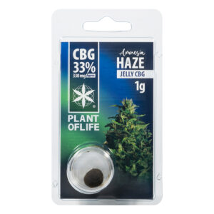 CBG hash Amnesia Haze 33% van Plant of Life voor meer rust
