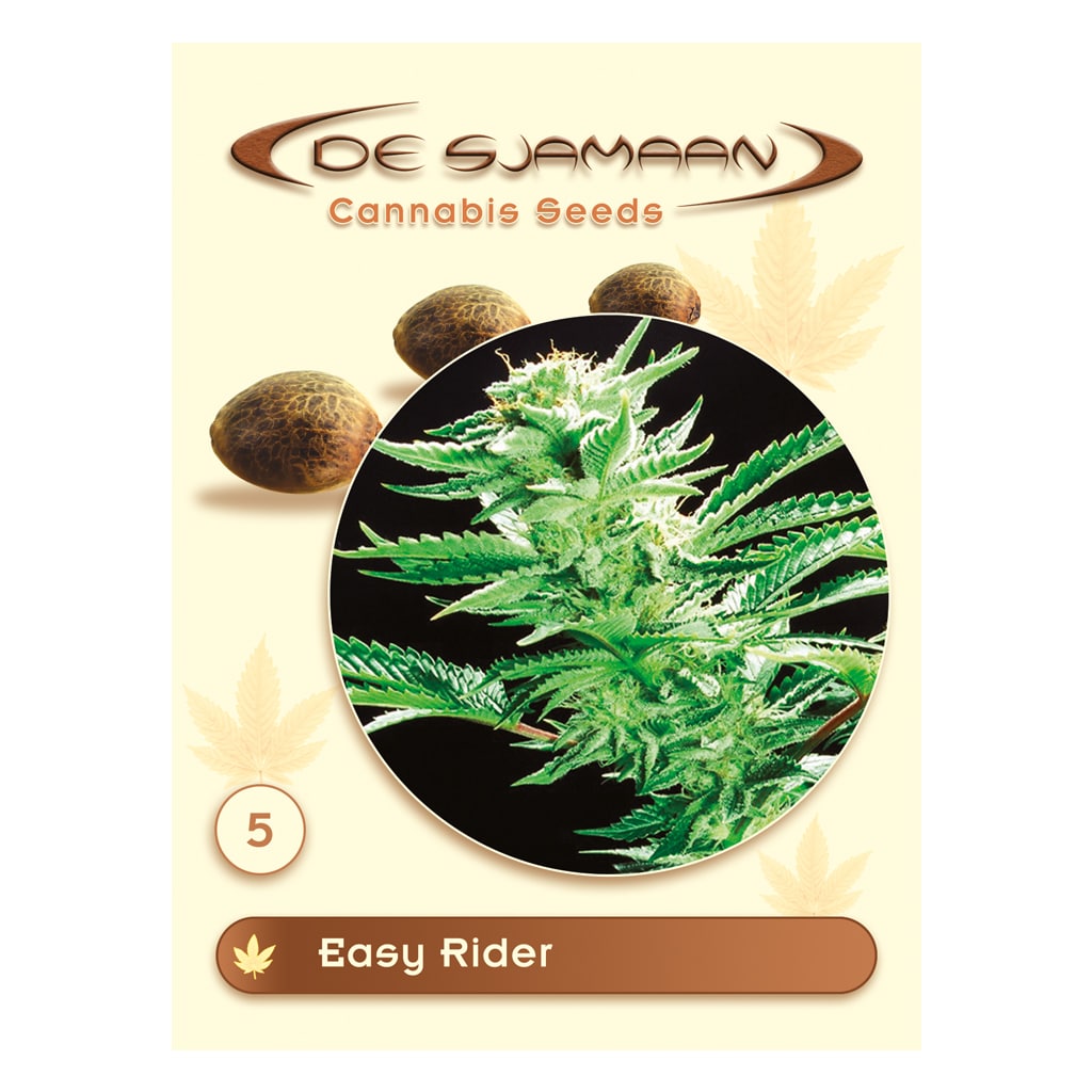 Easy Rider Regular wietzaden van De Sjamaan Cannabis Seeds