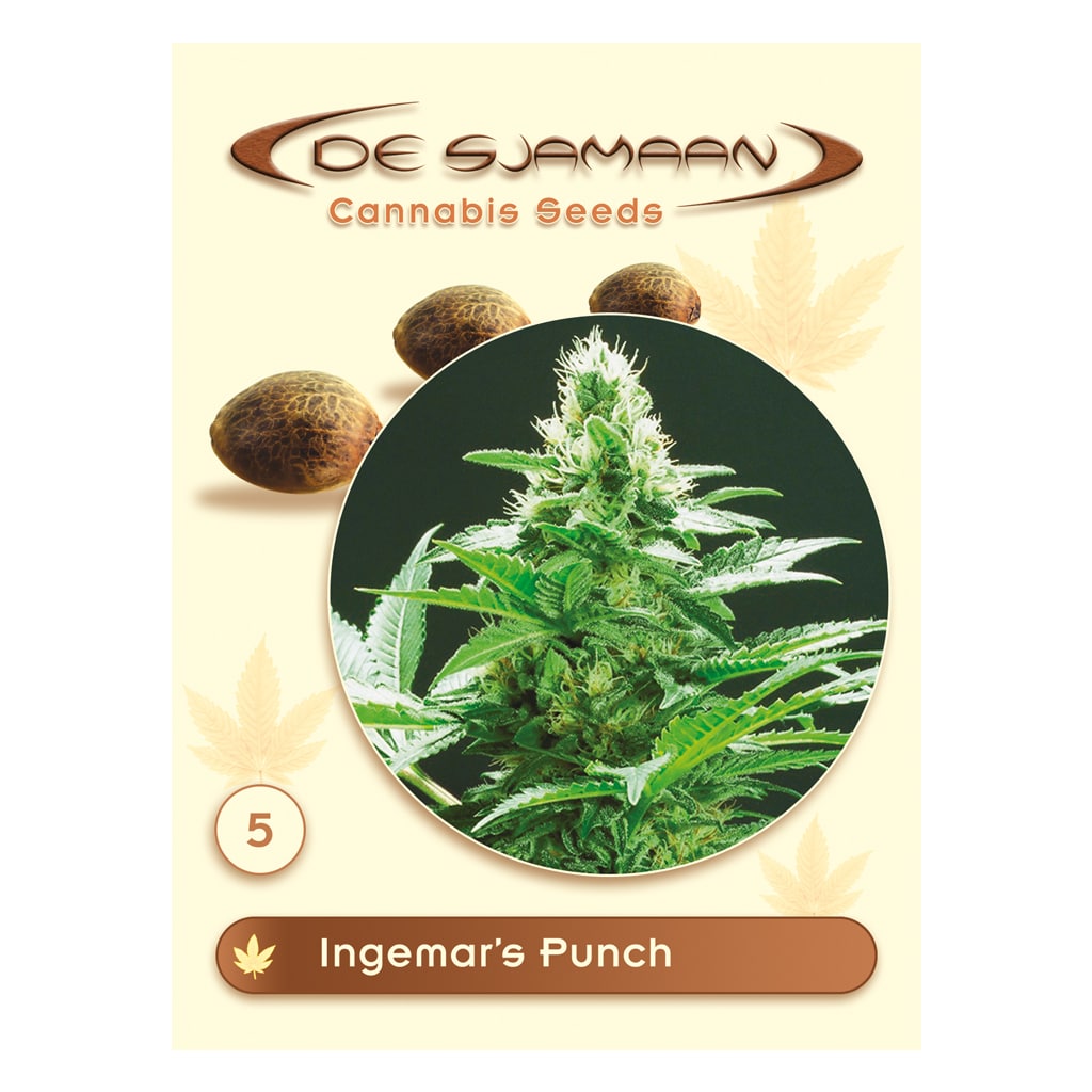 Ingemar's Punch reguliere seeds