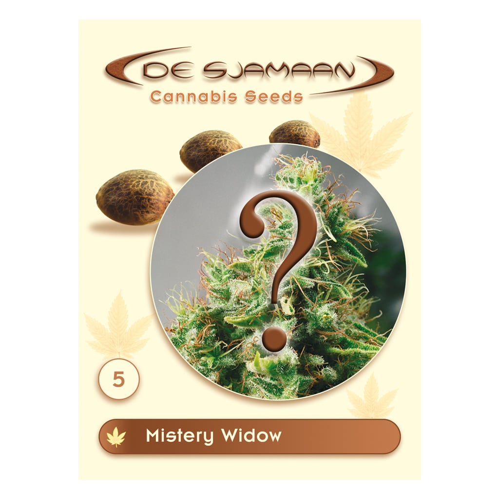 Mistery Widow wietzaadjes van De Sjamaan bij Plantarium