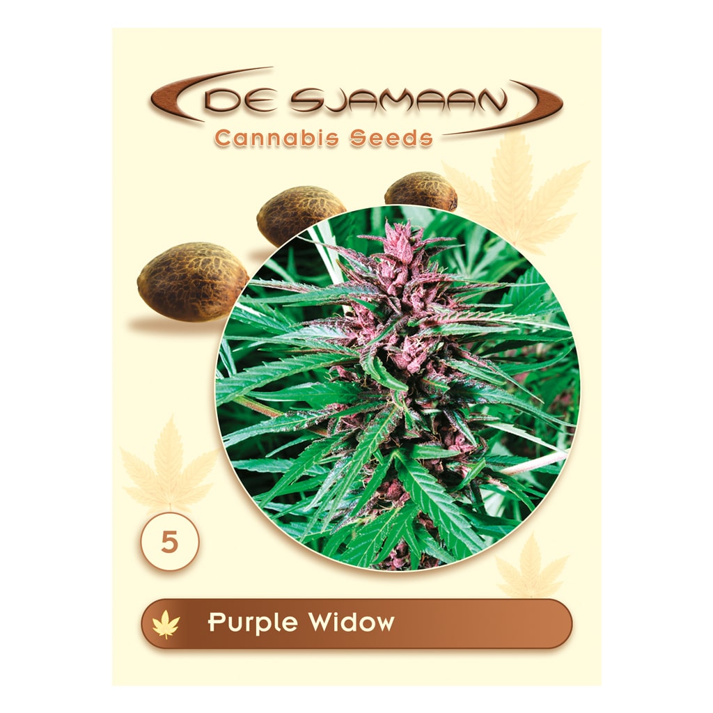 Purple Widow reguliere wietzaden van De Sjamaan