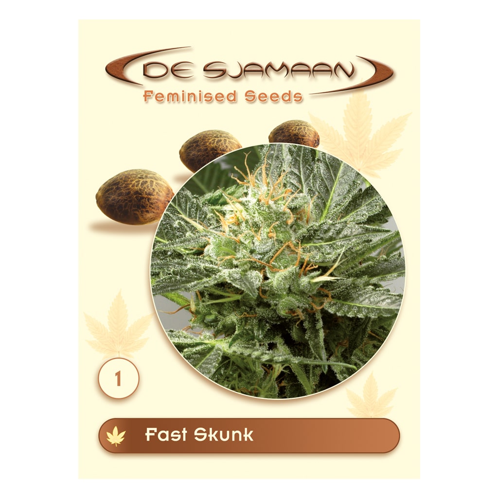 Fast Skunk Feminized Seeds van De Sjamaan Cannabis Seeds