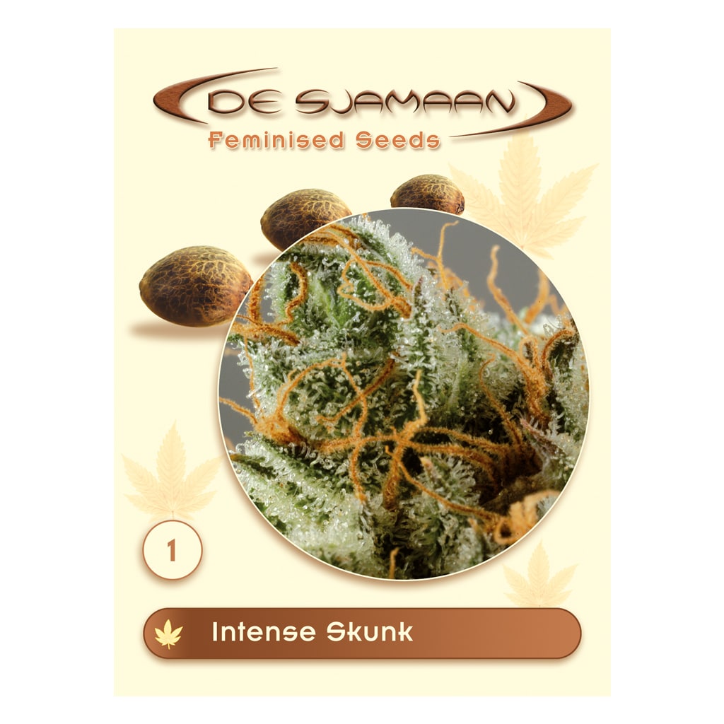 Intense Skunk wietzaadjes van De Sjamaan Cannabis Seeds