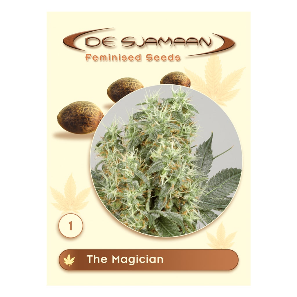 The Magician wietzaadjes van De Sjamaan Cannabis Seeds