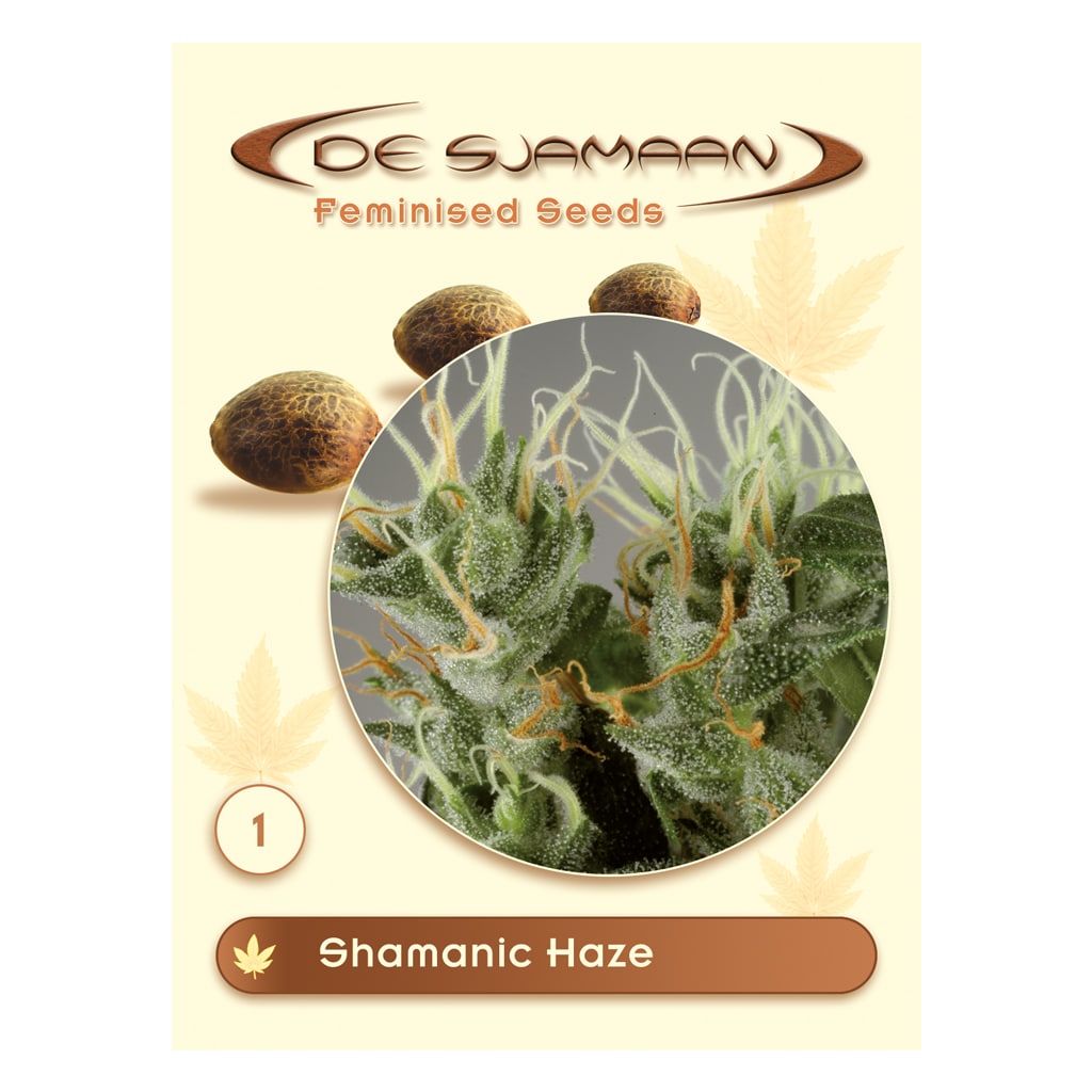 Shamanic Haze gefeminiseerde wietzaadjes