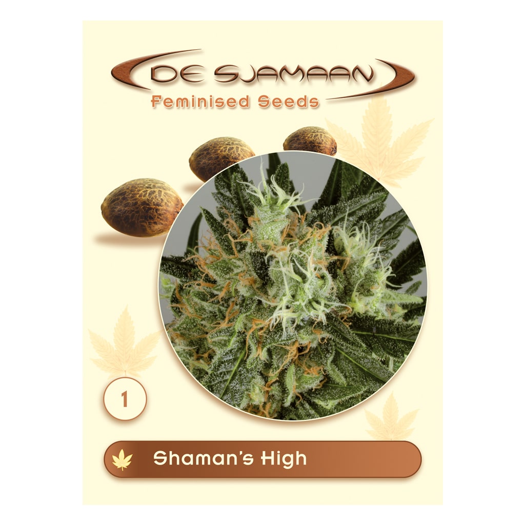 Feminized wietzaadjes van De Sjamaan Cannabis Seeds