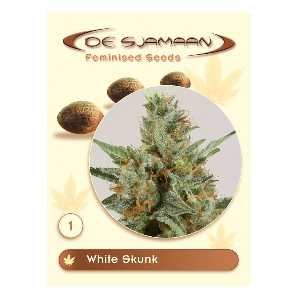 White Skunk gefeminiseerde wietzaadjes van De Sjamaan Seeds