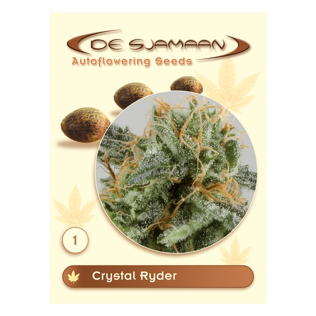 Crystal Ryder Autoflower wietzaadjes van De Sjamaan Seeds