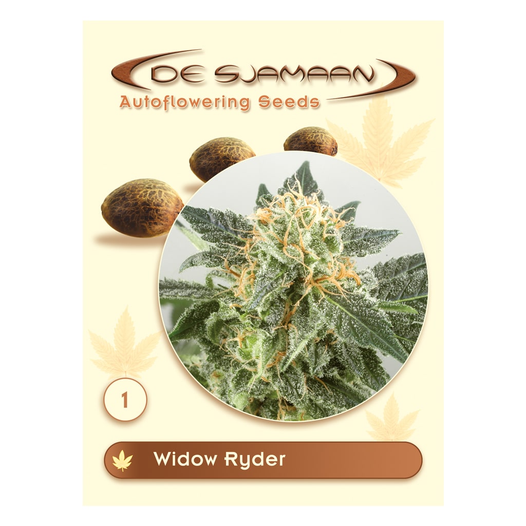 Widow Ryder Autoflower zaden van De Sjamaan Autoflowering Seeds