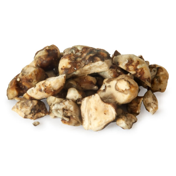 Psychedelic Dragon Magic Truffles bevatten psilocybine en zijn een populaire psychedelica, zoals paddo’s.