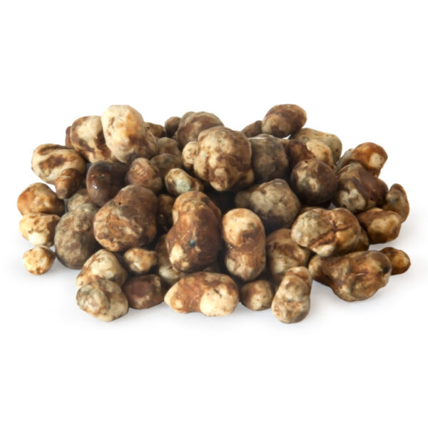 Psychedelic Mexicana Magic Truffles bevatten psilocybine en zijn een populaire psychedelica, zoals paddo’s.