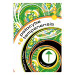 Psychedelic Tampanensis Magic Truffles bevatten psilocybine en zorgen voor diepgaande filosofische trip, een gevoel van tevredenheid met levendige beelden bij gesloten ogen.