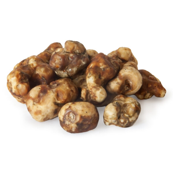 Psychedelic Tampanensis Magic Truffles bevatten psilocybine en zijn een populaire psychedelica, zoals paddo’s.