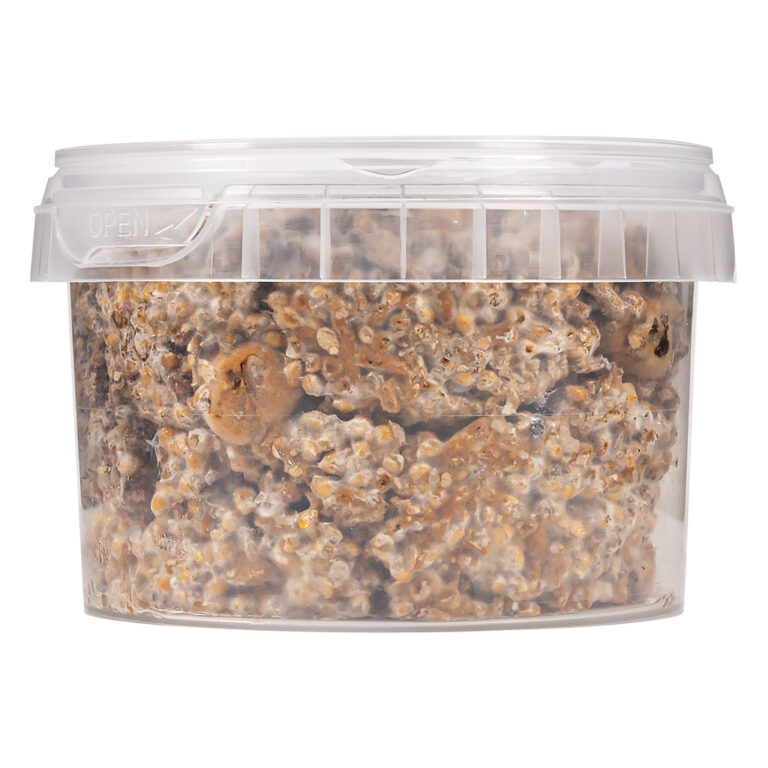 Magic Truffel kweekset Tampanensis 280ml is een growkit om thuis zelf Psilocybe tampanensis truffels te kweken.